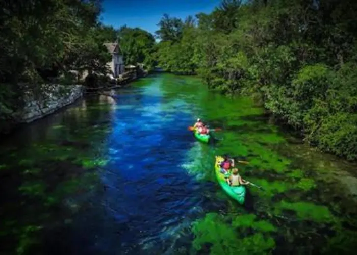 Апартаменты Cozy *